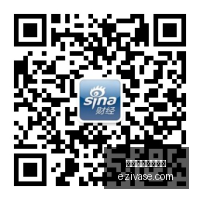 杨瀚森荣膺,防守王冠,吴前领跑最,赔率变化,盘口走势,庄家心理,买球盘口分析